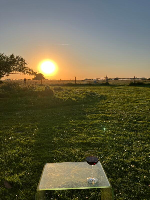 Sonnenuntergang_Wein_Abendstimmung.jpg