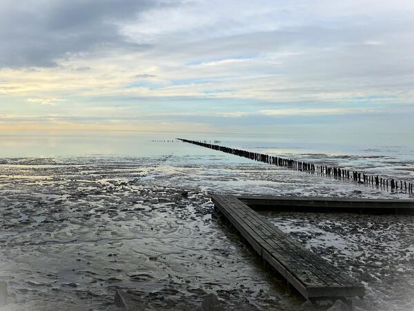 Wattenmeer 2 bearbeitet.JPG